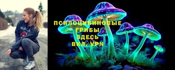 гидра Коряжма