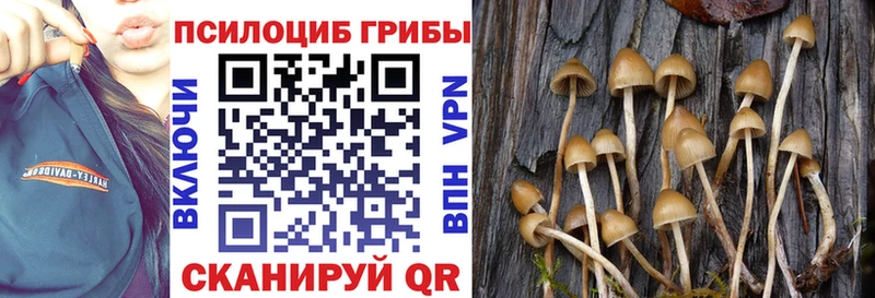 Псилоцибиновые грибы GOLDEN TEACHER  как найти наркотики  KRAKEN как войти  Мелеуз 