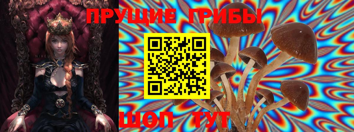 Псилоцибиновые грибы прущие грибы Мелеуз