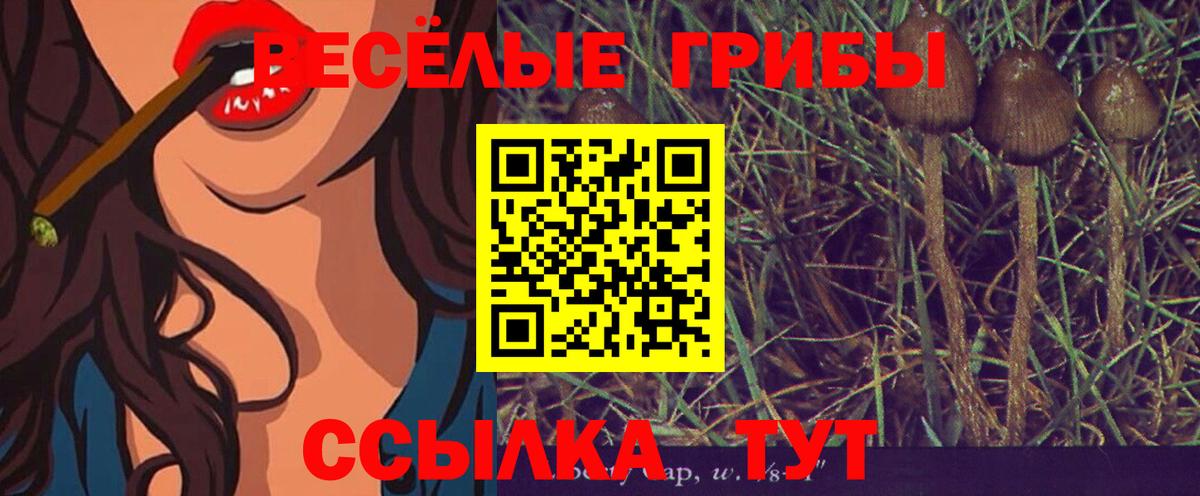 Мелеуз  Галлюциногенные грибы Psilocybe  где купить наркоту  Вход с VPN 