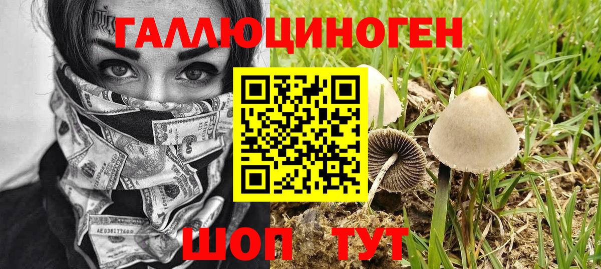 Псилоцибиновые грибы Psilocybe Мелеуз